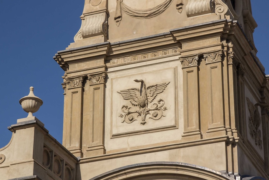 The swans on Fremantle town hall