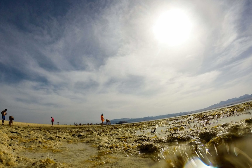 People stand on a beach on a sunny day.