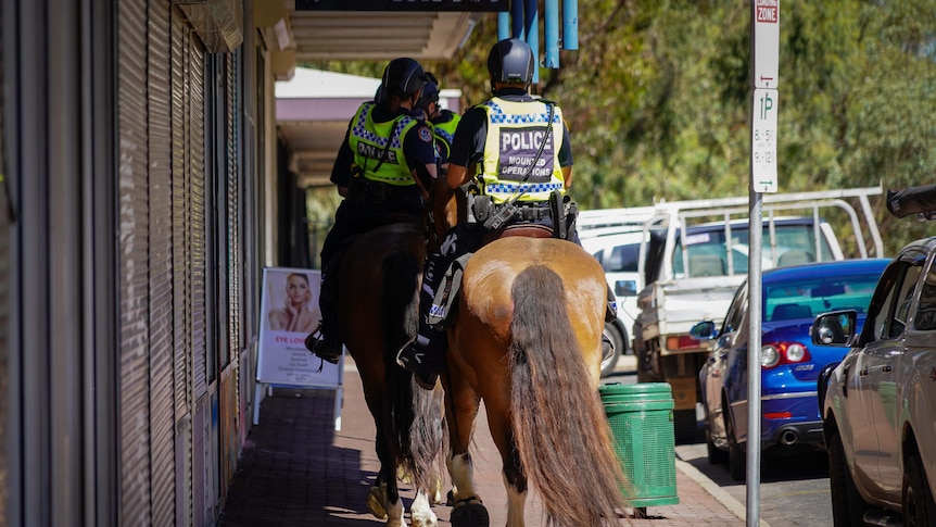 police patrol alice 1