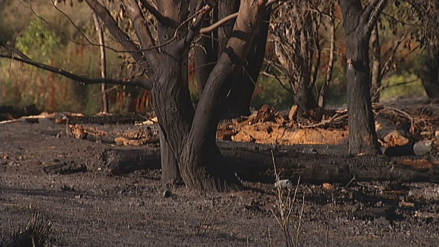 Police will question a homeless man over a suspicious fire near the Tuggeranong Parkway.