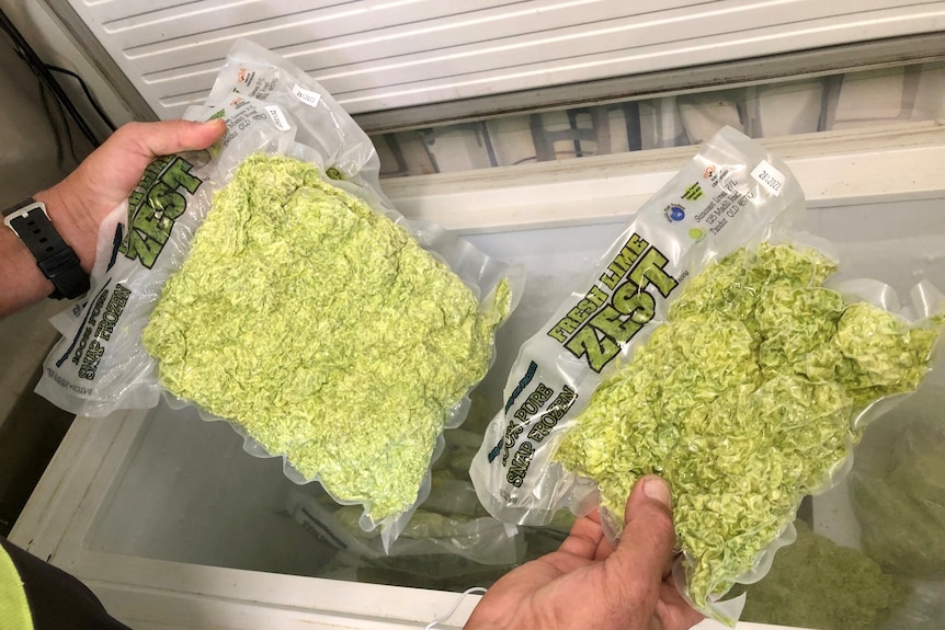 Two packets of frozen lime zest held above an open chest freezer.