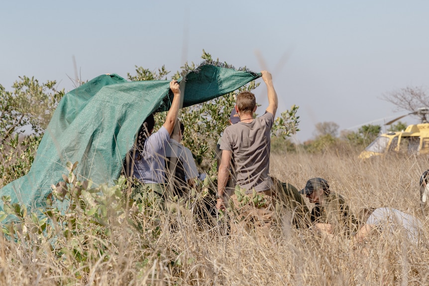 People holding a green tarpaulin.