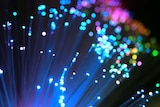 The Opposition has argued the National Broadband Network needs more scrutiny.