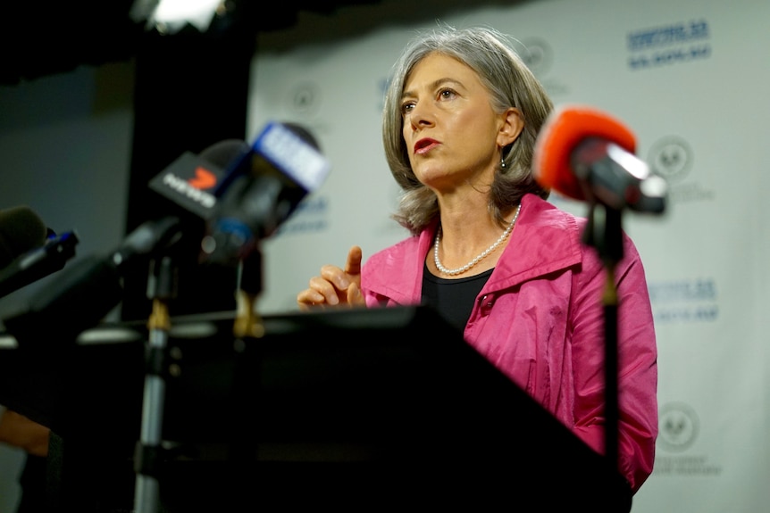 A woman with grey hair wearing a pink jacket speaks to microphones