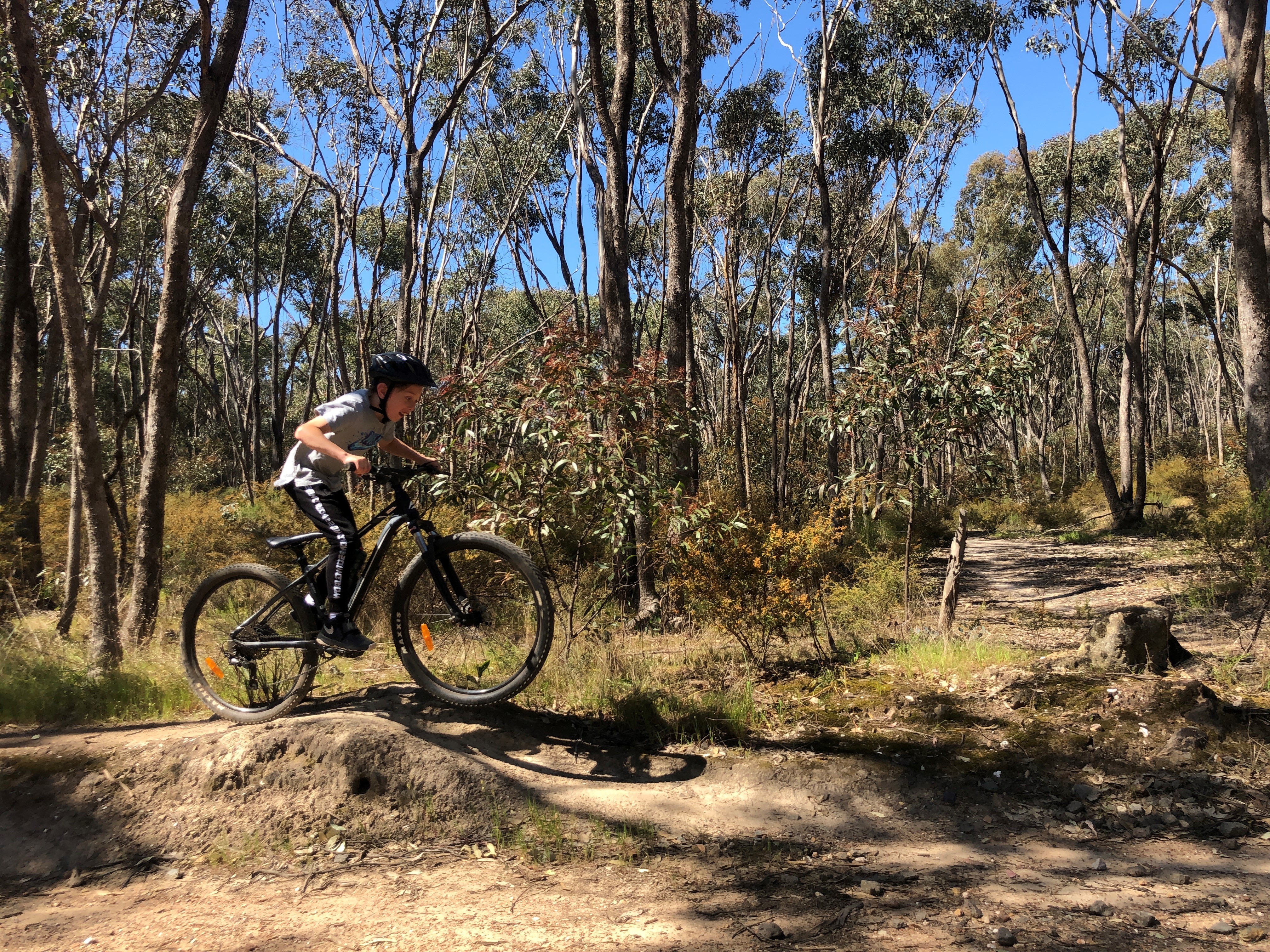 A boy rides a mountain bike along a forest trail.