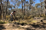 A boy rides a mountain bike along a forest trail.