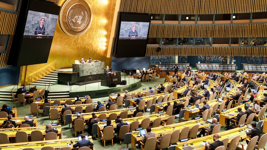 Barbara Woodward speaks during a meeting of the UN General Assembly.