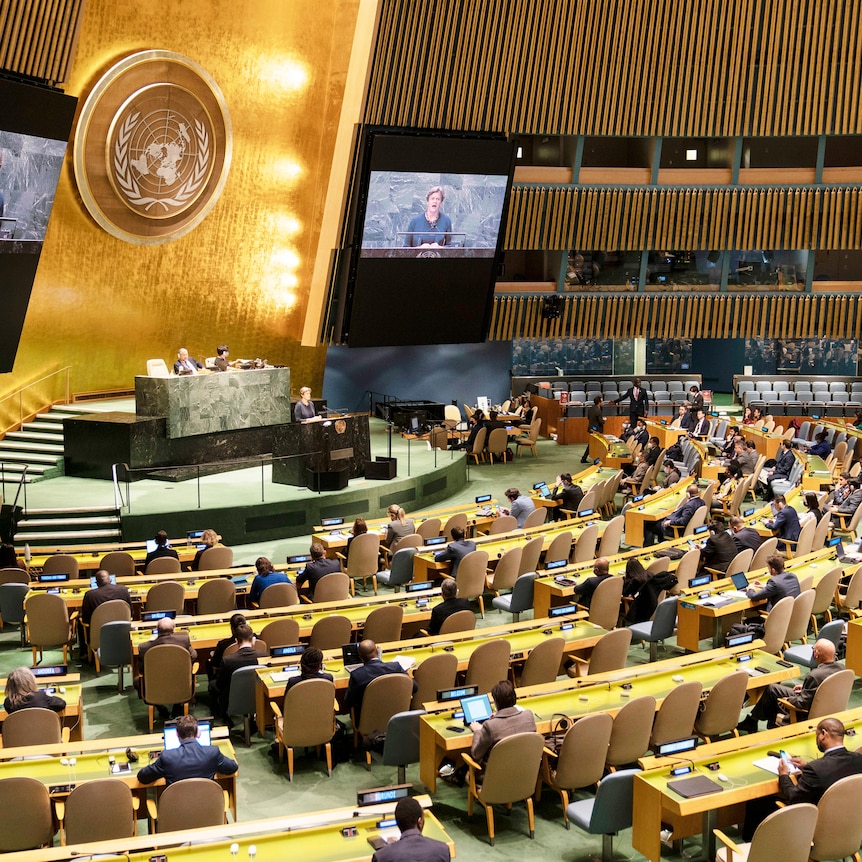 Barbara Woodward speaks during a meeting of the UN General Assembly.