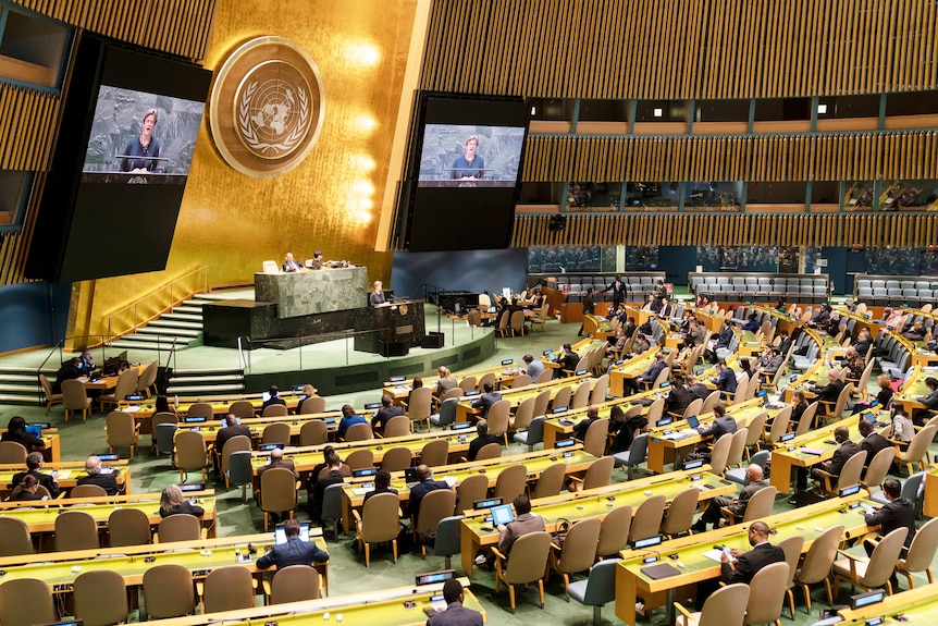 Barbara Woodward speaks during a meeting of the UN General Assembly.