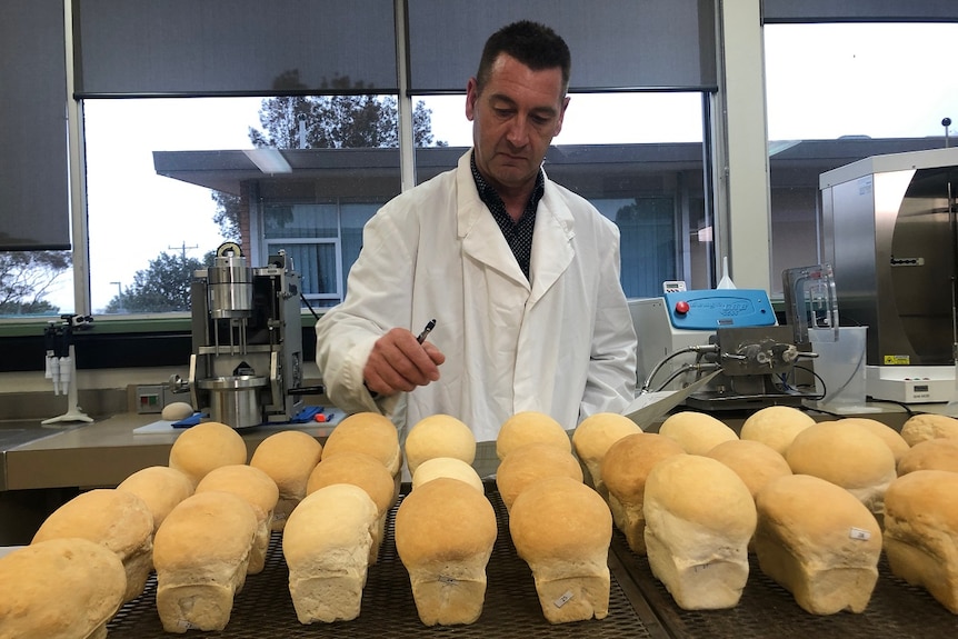 A man in a white gown holding a pen checking some bread.