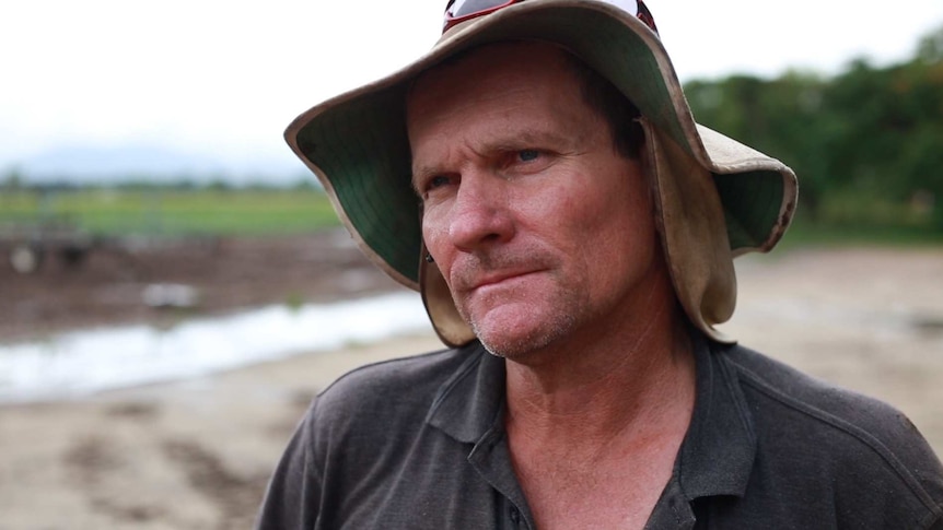 Eric Coleman, farmer, looks at his field of sweet potatoes