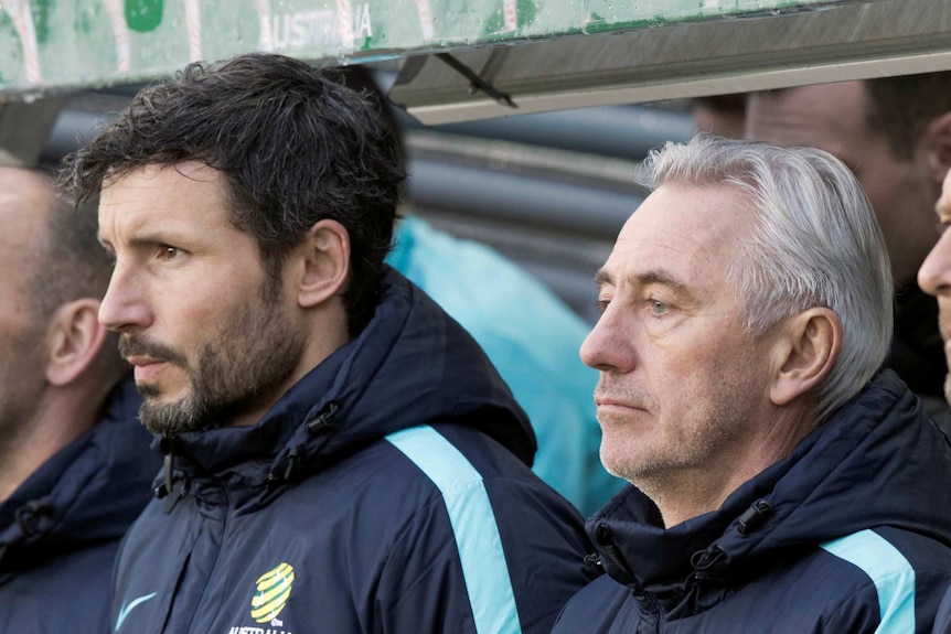 Socceroos assistant coach Mark van Bommel stares into the distance next to Bert van Marwijk