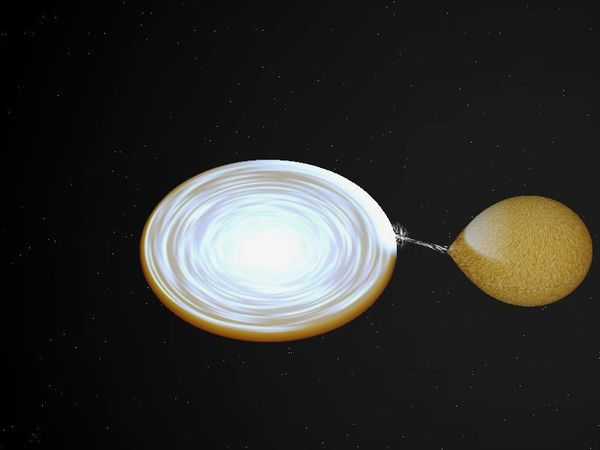 Allergy 3d. Альбом пульсар. Альбом пульсар. Collect pollen with the pulsar. Pollen.