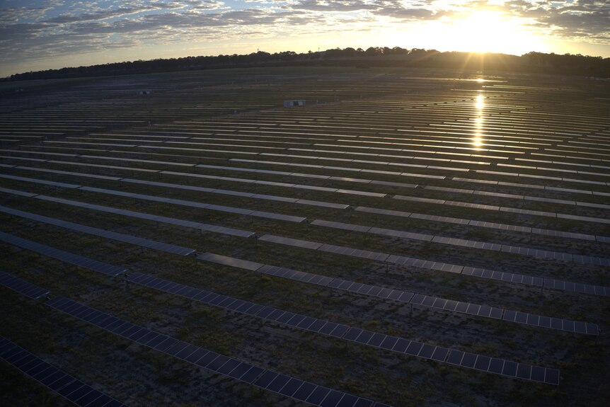 A field of solar panels as the sun sets 