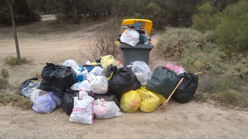 Bags of rubbish piled up against an overflowing wheelie bin.