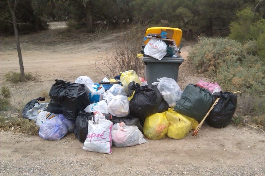 Bags of rubbish piled up against an overflowing wheelie bin near the Lyrup ferry.