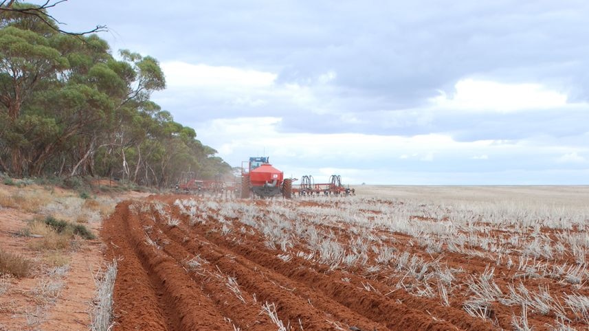 Few other countries have recognised soil's effective capacity to store carbon