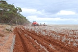 Few other countries have recognised soil's effective capacity to store carbon