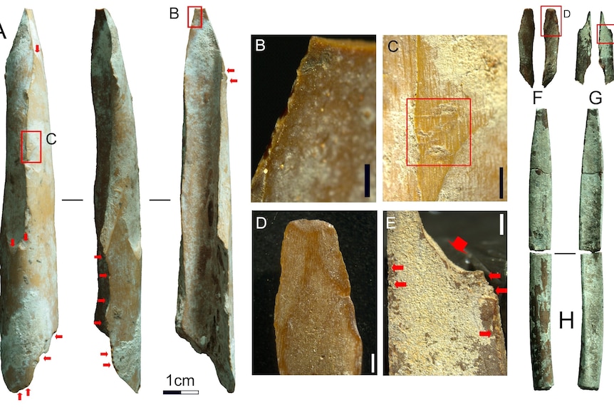 A cross section of tools with measurements