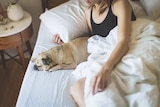 Woman in bed propped on her arm, with a pug dog sleeping next to her for a story about weight blankets for anxiety.