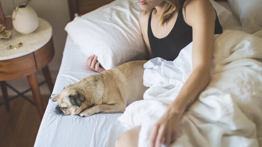 Woman in bed propped on her arm, with a pug dog sleeping next to her for a story about weight blankets for anxiety.