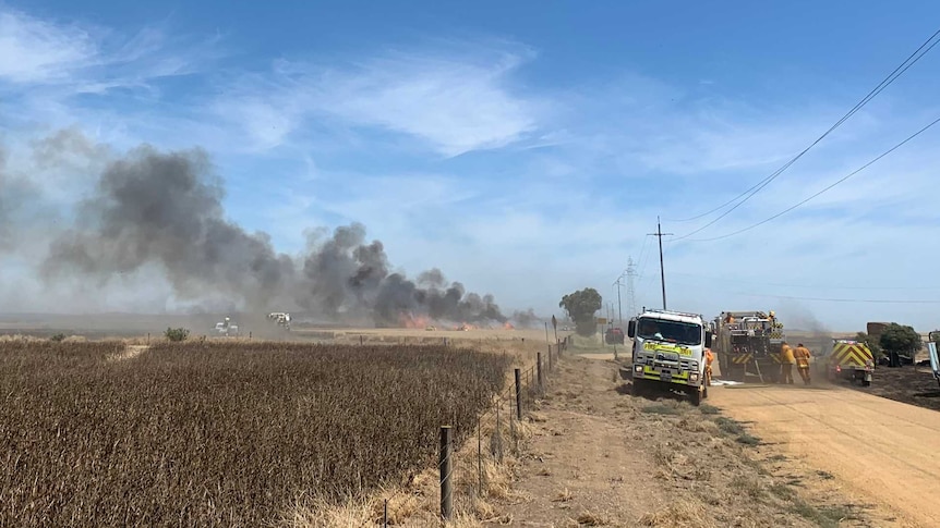 A fire truck on a dirt road next to a crop with smoke behind