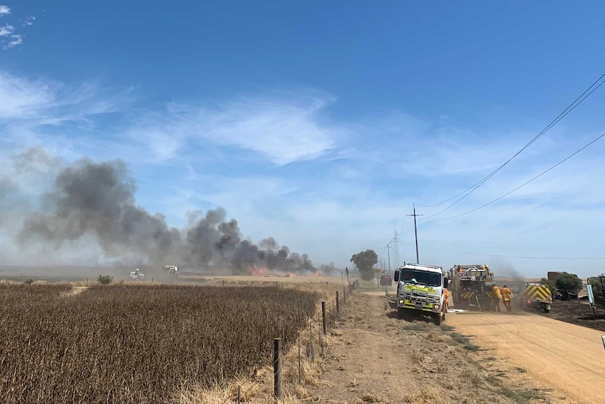 A fire truck on a dirt road next to a crop with smoke behind