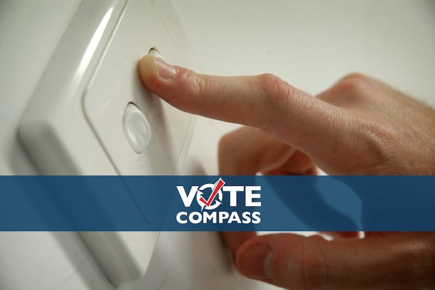 Vote Compass: Privatisation
