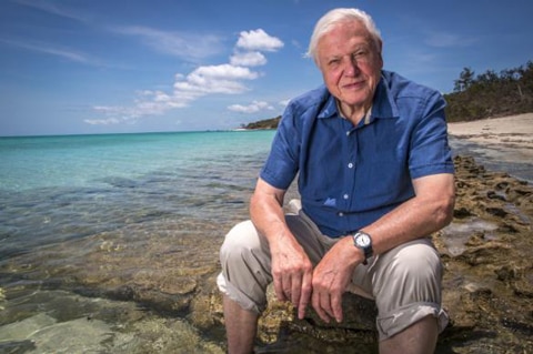David Attenborough Marks 100th Birthday Amidst Career Retrospective — image 1