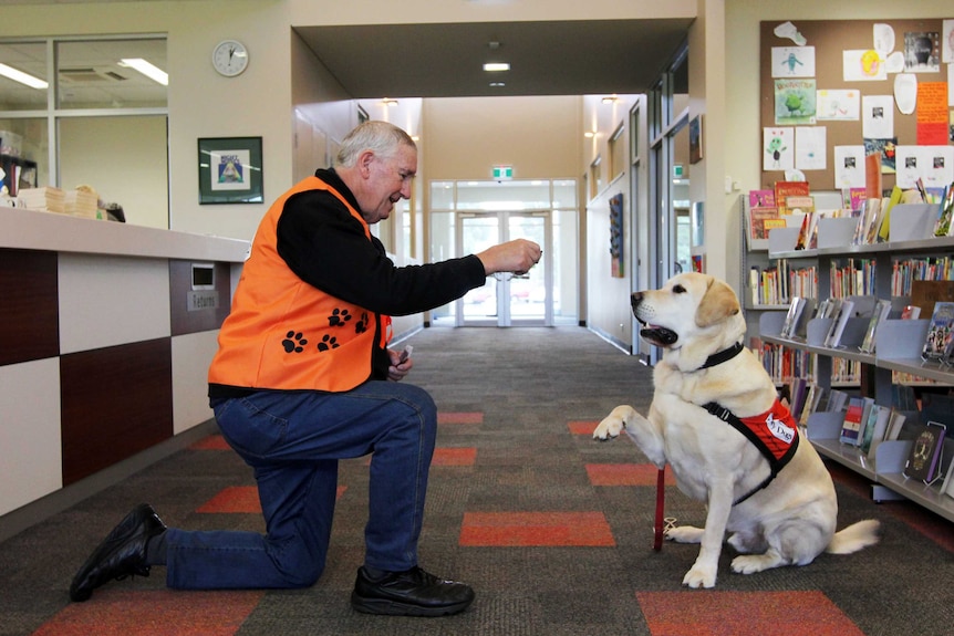 Story Dogs team Des Schwartz and Ben