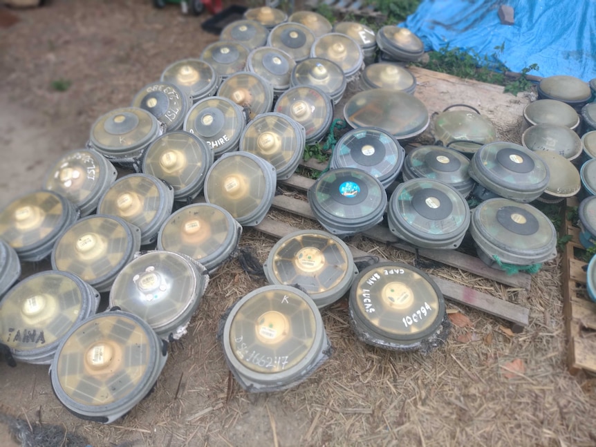 Dozens of small circular devices on a wooden pallet. 