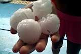 several golf-ball size hailstones that fell at Logan are held in the palm of a hand