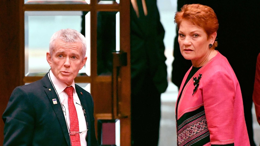 One Nation senator Malcolm Roberts and leader Pauline Hanson look serious after a Senate vote.