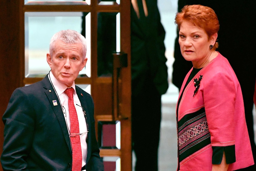 One Nation senator Malcolm Roberts and leader Pauline Hanson look serious after a Senate vote.