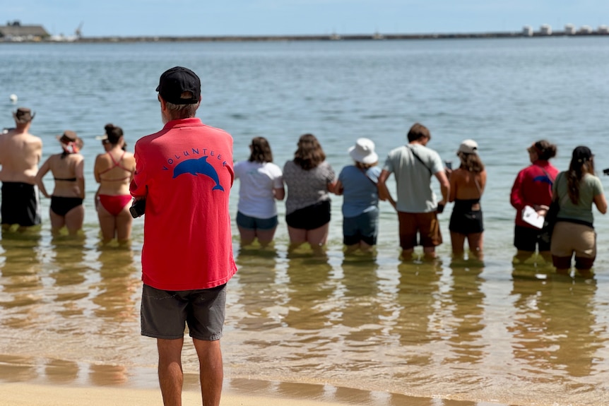 A volunteer oversees a tour group waiting in the water for dolphins at Bunbury's Dolphin Discovery Centre