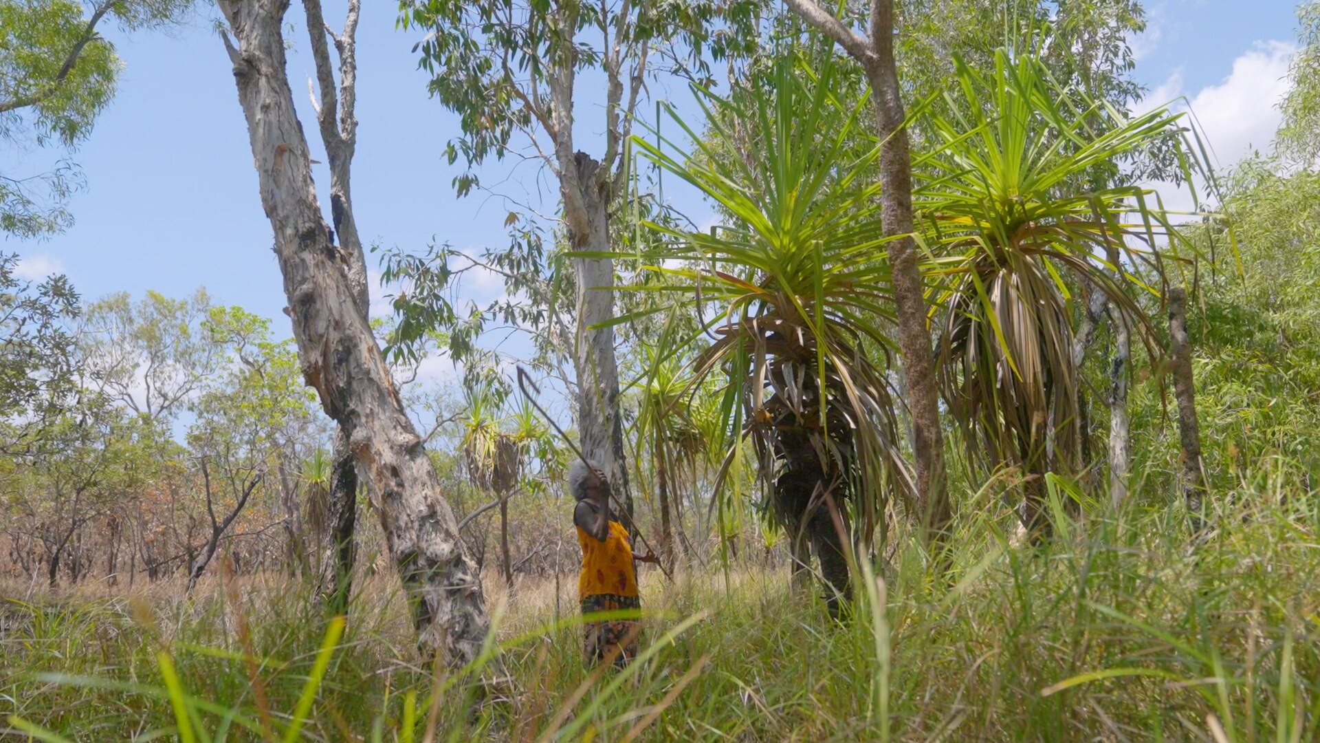 Thumbnail image for video.