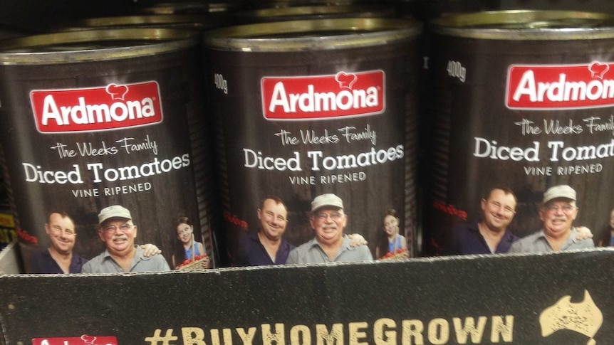 cans of tomatoes on a supermarket shelf
