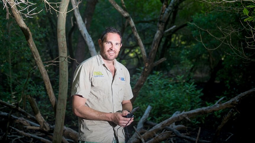 Researcher Clint Cameron says rehabilitating mangroves could give investors more bang for their buck.