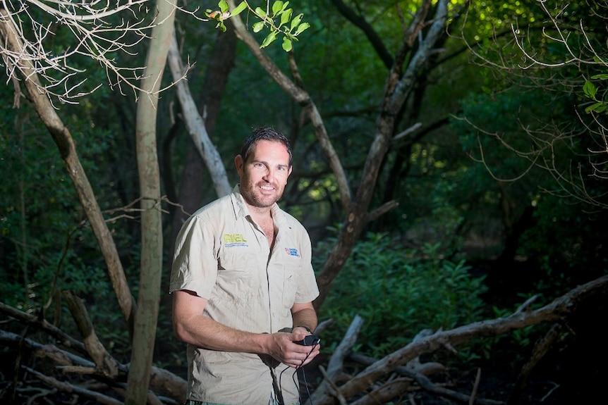 Researcher Clint Cameron says rehabilitating mangroves could give investors more bang for their buck.