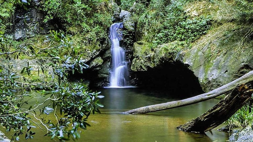 The waterhole at Potoroo Falls, north-east of Taree, is a popular swimming spot for locals.