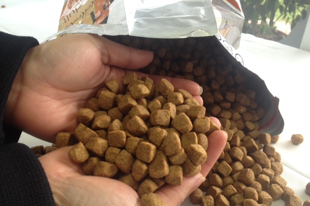 dog kibble