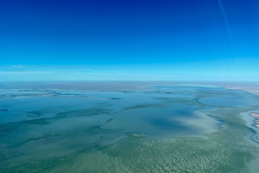 An aerial photo of flood waters spreading out across Queensland's Channel Country