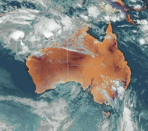 Company's cyclone procedure 'vague and ambiguous' - ABC News