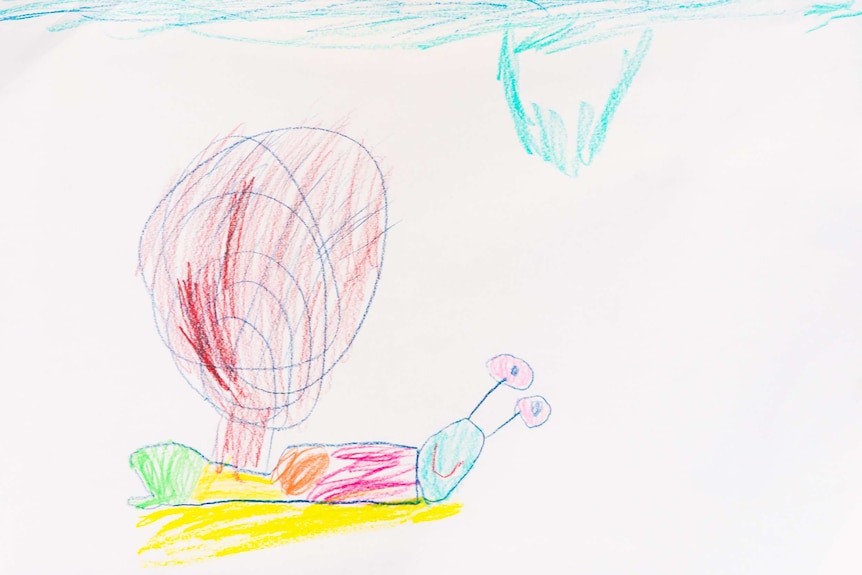 A child's drawing of a snail in colourful pencils.