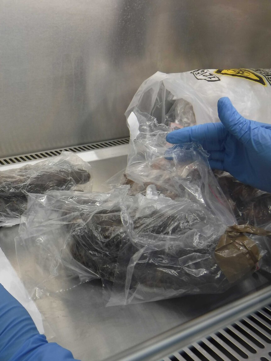 Processed meat in clear packaging seized by staff at airports.