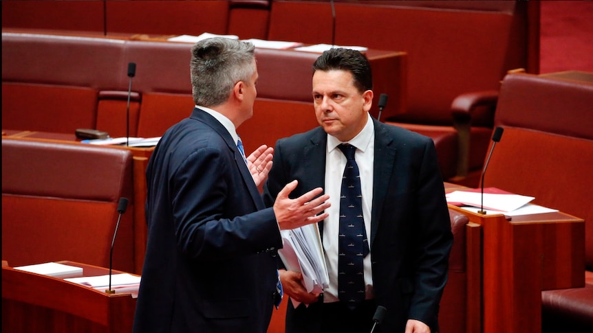 Nick Xenophon stares at Mathias Cormann in the Australian senate.