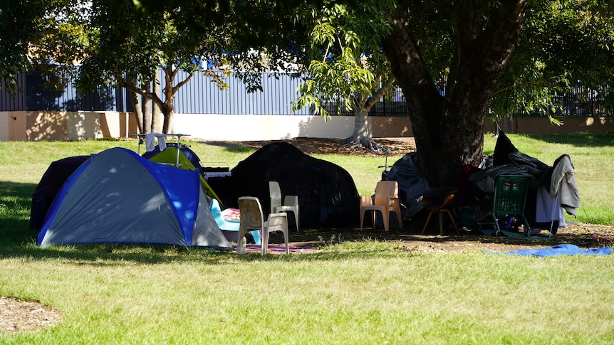 A group of tents under a tree in the park. 