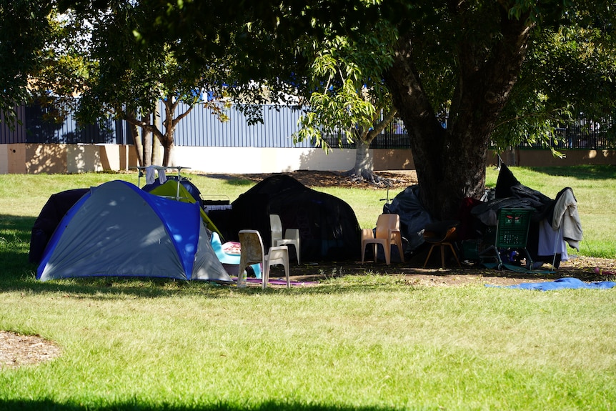 A group of tents under a tree in the park. 