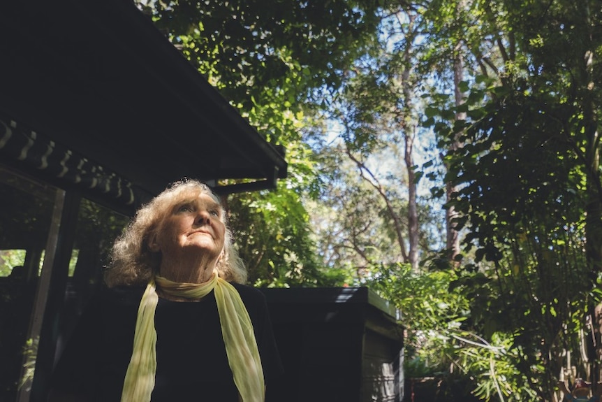 Annie Hawke looks up at trees surrounding her Avalon home.