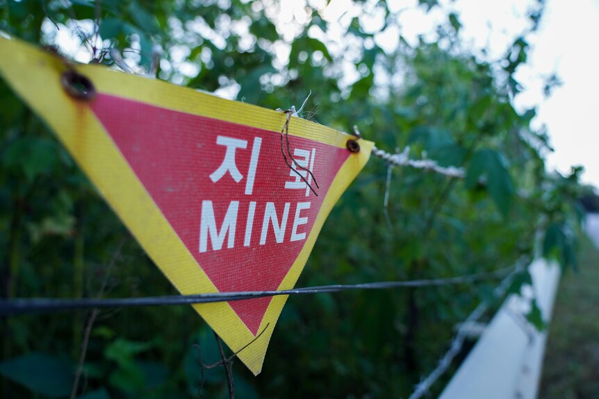 A red flag with "mine" written on it 